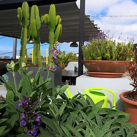 호텔 Casa Salvia Icod De Vinos La Guancha