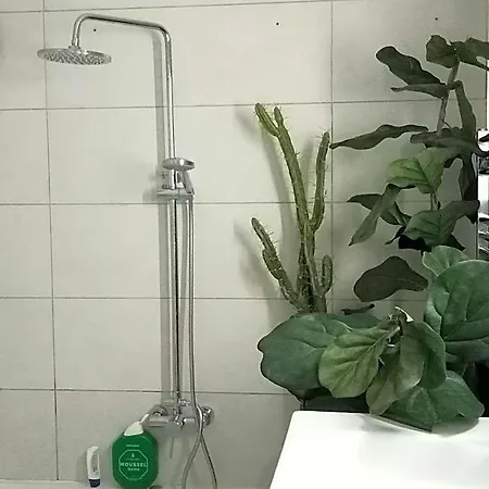 Casa Salvia Icod De Vinos